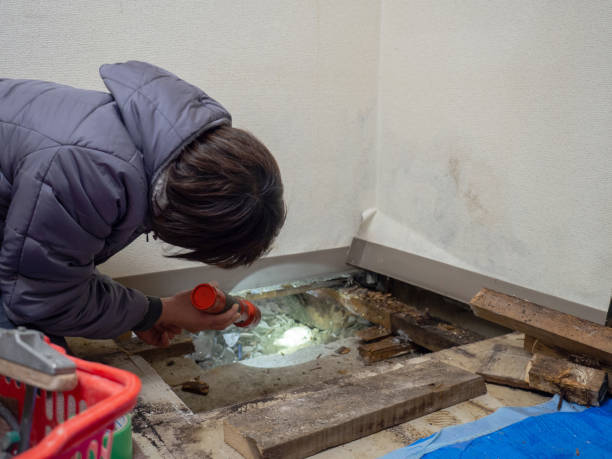 Best Dehumidification Services  in Newton, KS
