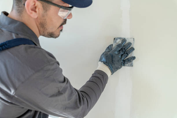 Mold Odor Removal Services in Newton, KS