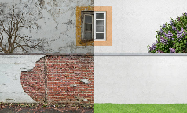 Best Mold Documentation for Insurance Claims  in Newton, KS