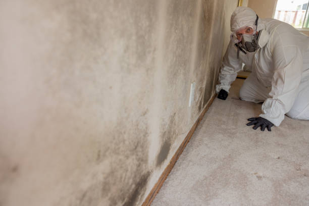 Best Biohazard Mold Removal  in Newton, KS